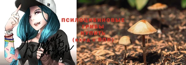 спайс Беломорск