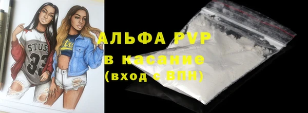 СК Богородск