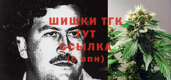 мяу мяу мука Белокуриха