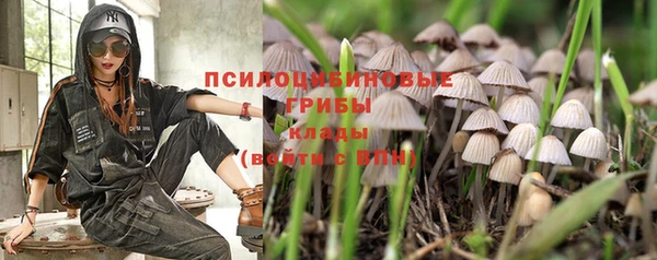 COCAINE Богданович