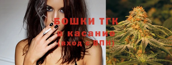 мяу мяу мука Белокуриха